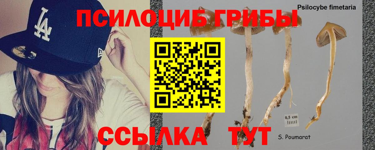 Псилоцибиновые грибы ЛСД  Галлюциногенные грибы Cubensis  Вход с VPN  где купить   Советский 